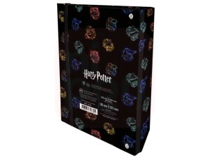 Fichário Colegial com elástico Harry Potter com 48 Folhas decoradas – 3735